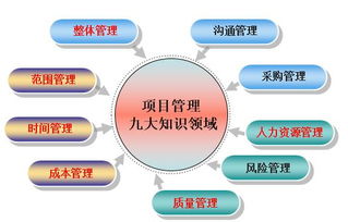 职场女性成长故事 白小白变形记 一 所谓 轻松 的项目经理